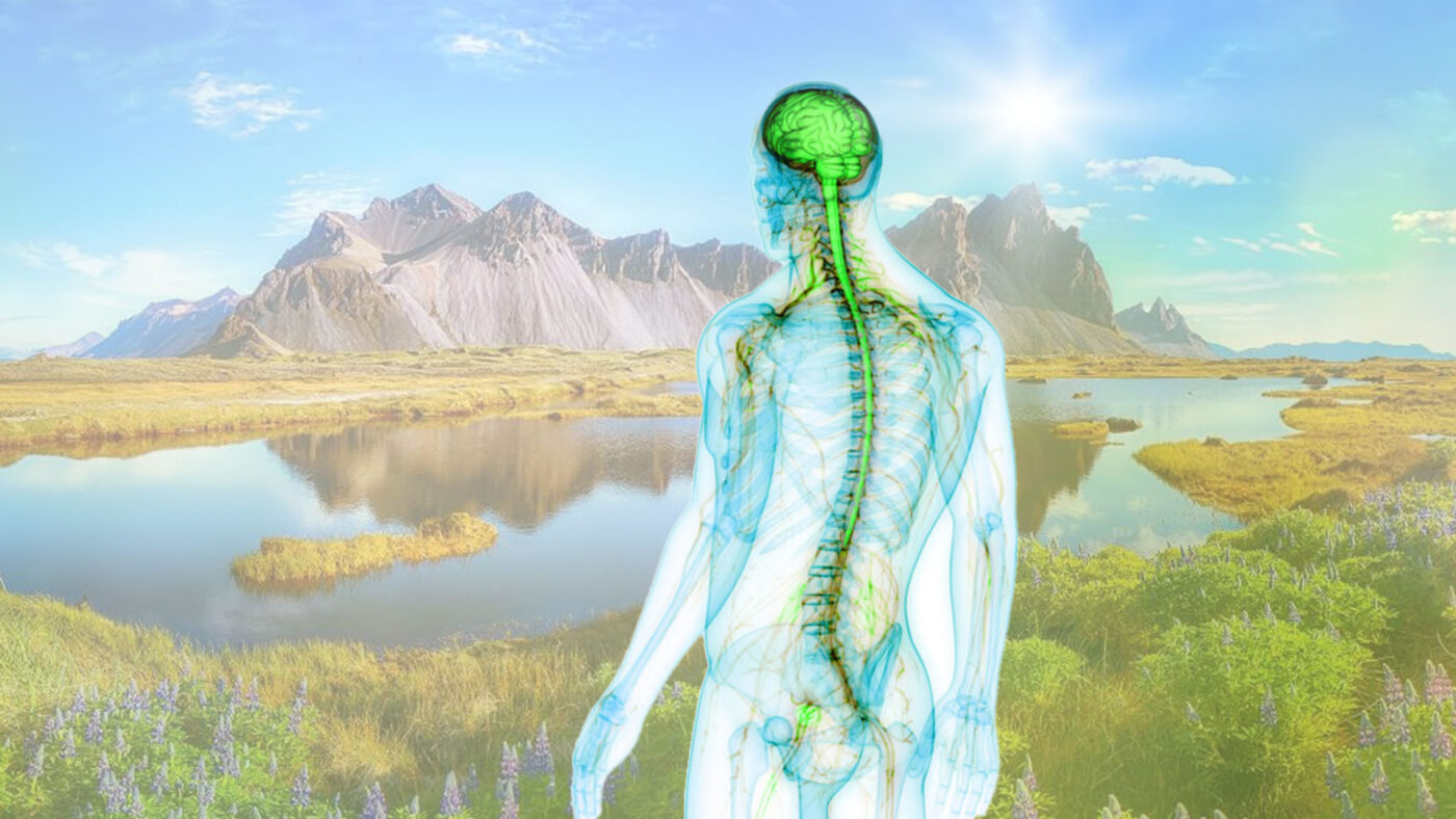 Rita Hildebrandt - Craniosacral